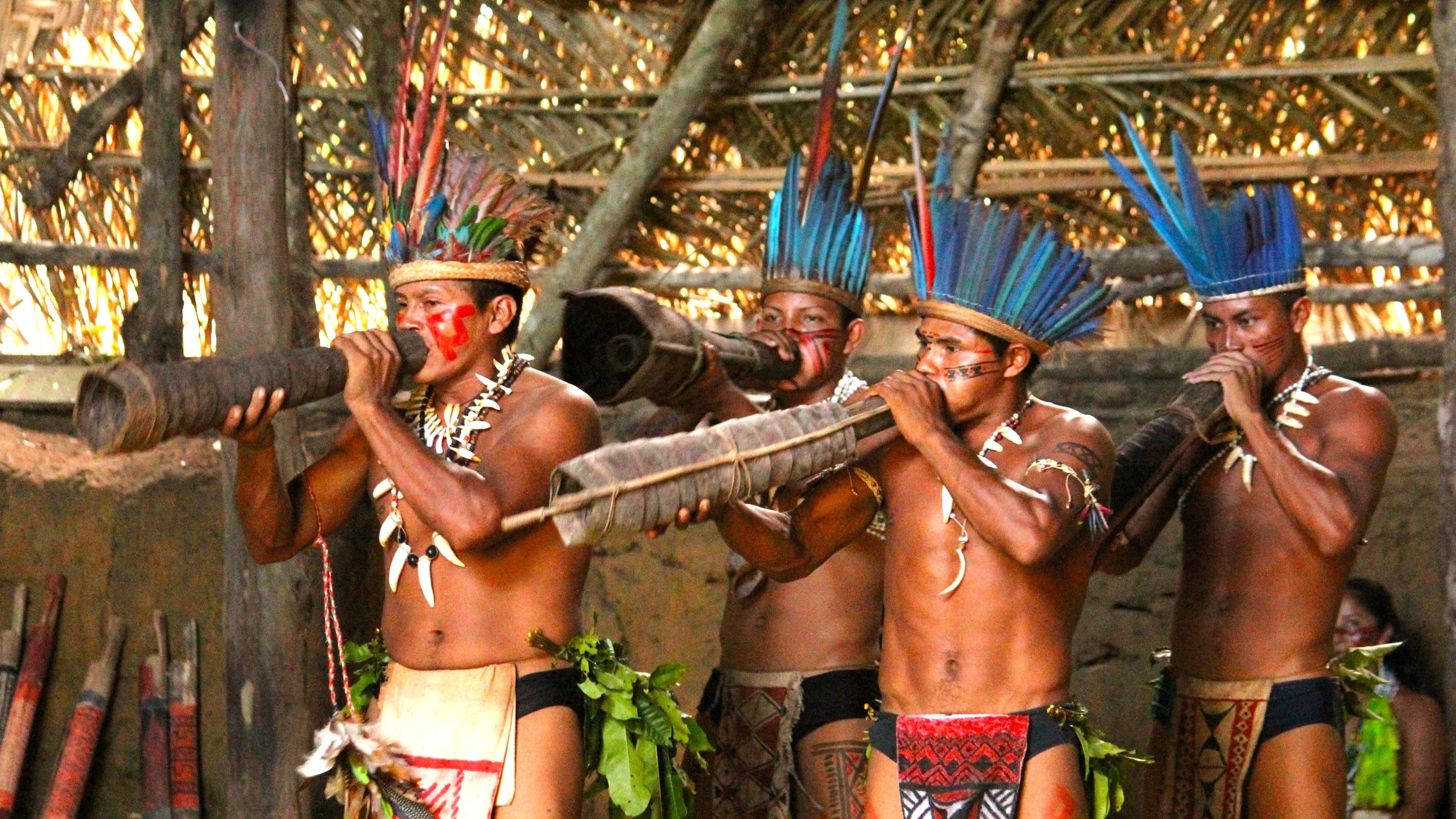 amazônia tribo indígena